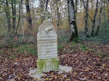 Excursión Senderismo Vouthon-Haut - En mémoire de Sidonie - Photo