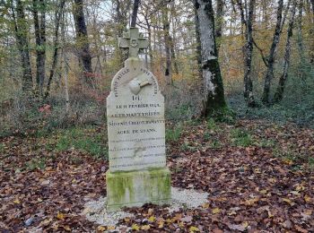 Randonnée Marche Vouthon-Haut - En mémoire de Sidonie - Photo