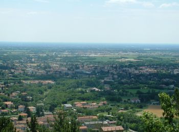 Trail On foot Aviano - IT-985 - Photo
