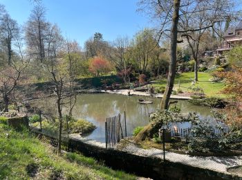 Randonnée Marche Villers-la-Ville - BE-Villers-la-Ville - Sart-Dame-Avelines - Le Bois de Bérines - VLV 9 - Photo