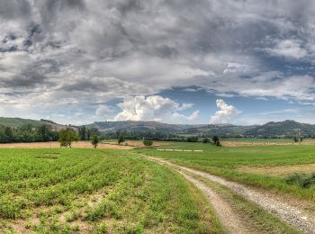 Tour Zu Fuß Castellarano - Croce di San Valentino - Montebabbio - Telarolo - Monte Maestà Bianca - Photo