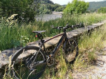 Tocht Elektrische fiets Neuvéglise-sur-Truyère - base nautique Mallet  - Photo