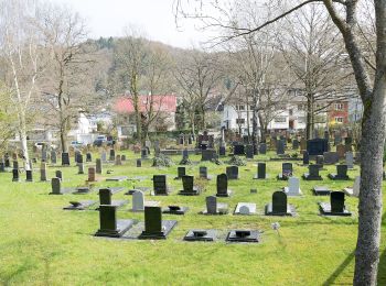 Percorso A piedi Marburg - [B2] - Wanderweg des Verkehrs- und Verschönerungsvereins Marburg - Photo