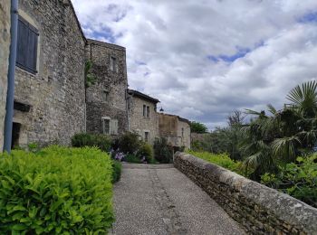 Tour Wandern Mirmande - mirmande - Photo