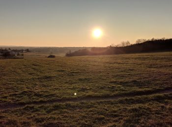 Tour Mountainbike Rambervillers - sortie vtt du 17112018 rambervillers  - Photo