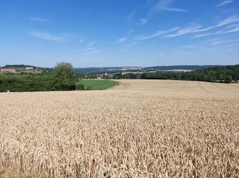 Tour Wandern Floreffe - FLOREFFE _ Marche Adeps  _ NA _ 24/07/2023PP - Photo