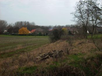 Excursión A pie Leuna - Elster Floßgraben Wanderweg Kötzschau - Photo