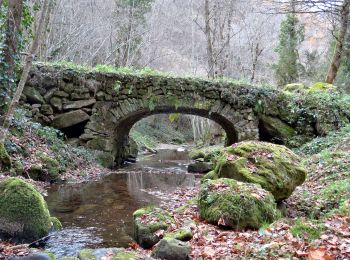 Excursión Senderismo Égliseneuve-près-Billom - Egliseneuve_Madet - Photo