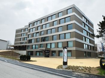 Randonnée A pied Morat - resSchlacht-Denkmal - Clavaleyer - Photo