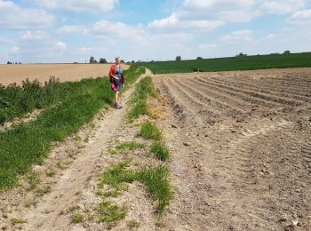 Tour Wandern Pont-à-Celles - 2020-05-13 Liberchies (Viesville) 16 Km - Photo