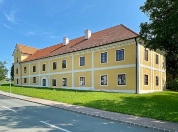 Tocht Te voet Bad Tatzmannsdorf - Wechselblick - Photo