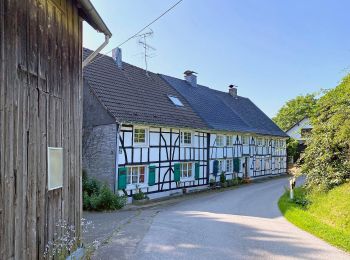 Randonnée A pied Wermelskirchen - Dhünn Rundweg A2 - Photo