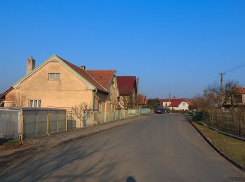 Tocht Te voet Břehy - [Ž] Černý Nadýmač - okruh - Photo