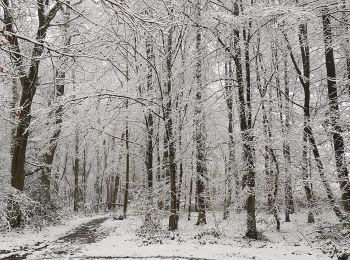 Trail On foot Vaals - Vaals SBB32 - Photo