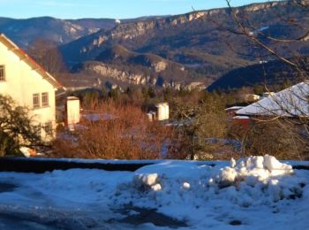 Excursión Senderismo Lavans-lès-Saint-Claude - Champier Jura - Photo
