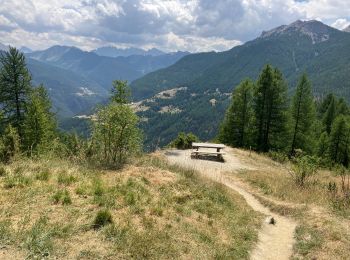 Trail Walking Arvieux - Lac de Roue variante  - Photo