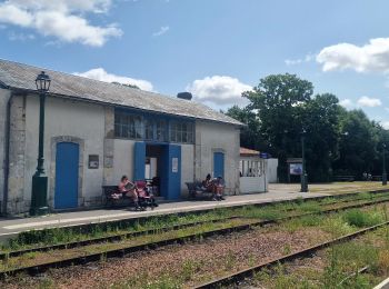 Tour Wandern Mornac-sur-Seudre - Mornac sur Seudre Visite du village - Photo