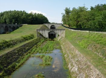 Percorso A piedi Vizzola Ticino - Ansa di Castelnovate - Photo