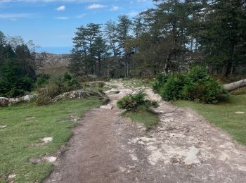 Randonnée Marche Urrugne - La Rhune en boucle - Photo