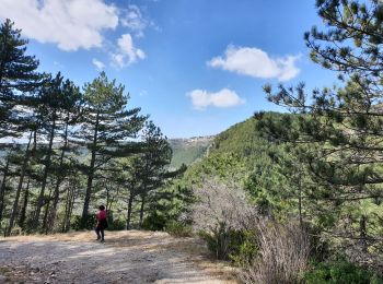 Tour Wandern Saint-Étienne-de-Gourgas - Cirque du bout du monde - Photo