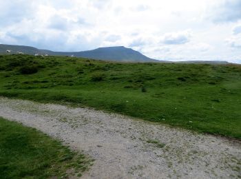 Tour Zu Fuß Craven - Limestone Walk - Photo