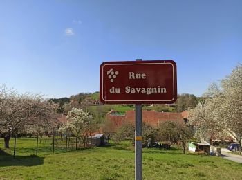 Tour Wandern Pupillin - 03-04-21 vignes pupillin  - Photo