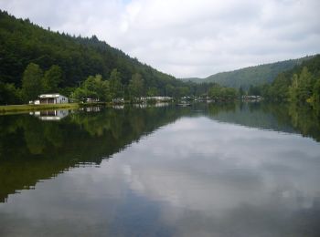 Randonnée A pied Clausen - Wandern in Clausen C12 - Photo