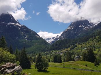 Excursión Senderismo Vallorcine - Les Buets à Callorcibe - Photo