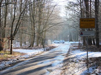 Randonnée A pied Feldberger Seenlandschaft - Rundwanderweg Brauner Specht - Photo