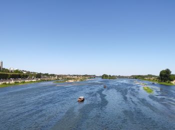 Percorso Bici da strada Muides-sur-Loire - Itinéraire 12 - Au fil de Loire - Photo