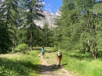 Randonnée Marche nordique Le Monêtier-les-Bains - Lac de la douché par le tabac - Photo