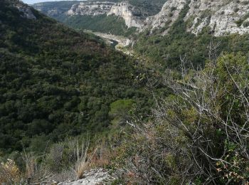 Tour Wandern Cabrières - le Gardon  - Photo