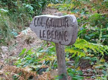 Trail Walking Le Port - lundi 20 juillet 2020  - Photo