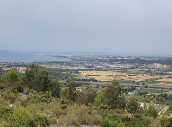 Excursión Senderismo Rognac - Rognac reco - Photo