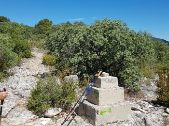 Tour Wandern Saint-Saturnin-lès-Apt - falaise de Lioux - Photo