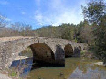 Tocht Stappen Corconne - Les vignobles de Corconne et le Pont des Cammaous - Photo