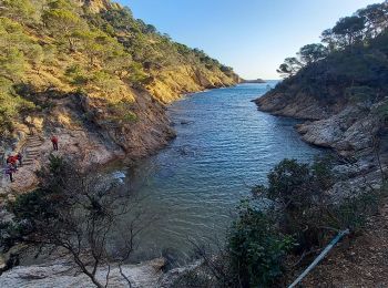 Tocht Stappen Tossa de Mar - Wikiloc - Tossa de Mar - Camins de Ronda Nord i Sud, corriols d'en Joan 'pescador' 2024-01-20 8:58 - Photo