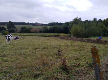 Randonnée Marche Ellezelles - Rando des collines J2 - Photo