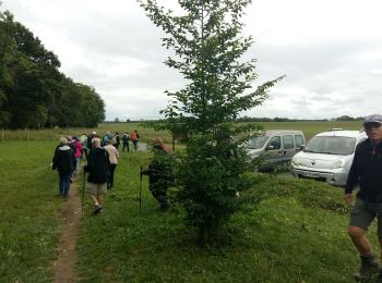 Tocht Stappen Montardon - MONTARDON RS Autour du Luy    3255249 - Photo