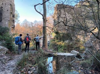 Excursión Senderismo Le Tholonet - Ste Victoire-Le Tholonet-17-12-21 - Photo