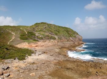 Tour Wandern Le Moule - Anse Petite Savane - Anse à l'Eau - Photo