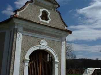 Tour Zu Fuß Bad Waltersdorf - Ausdauer Waldlauf - Photo