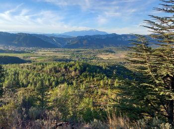 Tour Wandern Saint-Paul-de-Fenouillet - La Quille - Photo