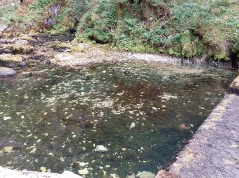 Tour Wandern Mouthe - SOURCE DU DOUBS - Photo