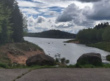 Trail Walking Pierre-Percée - fred lac pierre percée - Photo