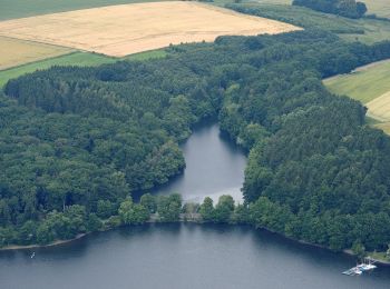 Randonnée A pied Möhnesee - Torhaus Rundweg A5 - Photo