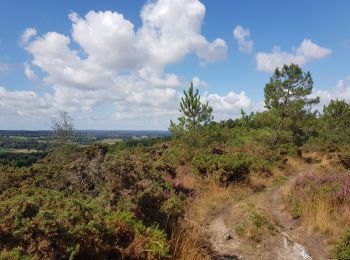 Trail Walking Saint-Jean-Brévelay - PR_56_St-Jean-Brevelay_AA_01_Circuit1b_Du-Carado_20190901 - Photo