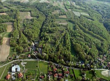 Percorso A piedi Kazimierz Dolny - Szlak zielony - Photo