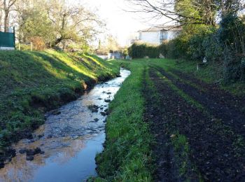 Trail On foot Mérignac - RANDO DU BURCK DU MARDI ET JEUDI  C-R - Photo