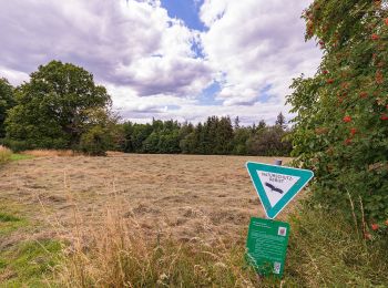 Tour Zu Fuß Herborn - H12 Laternenweg - Photo